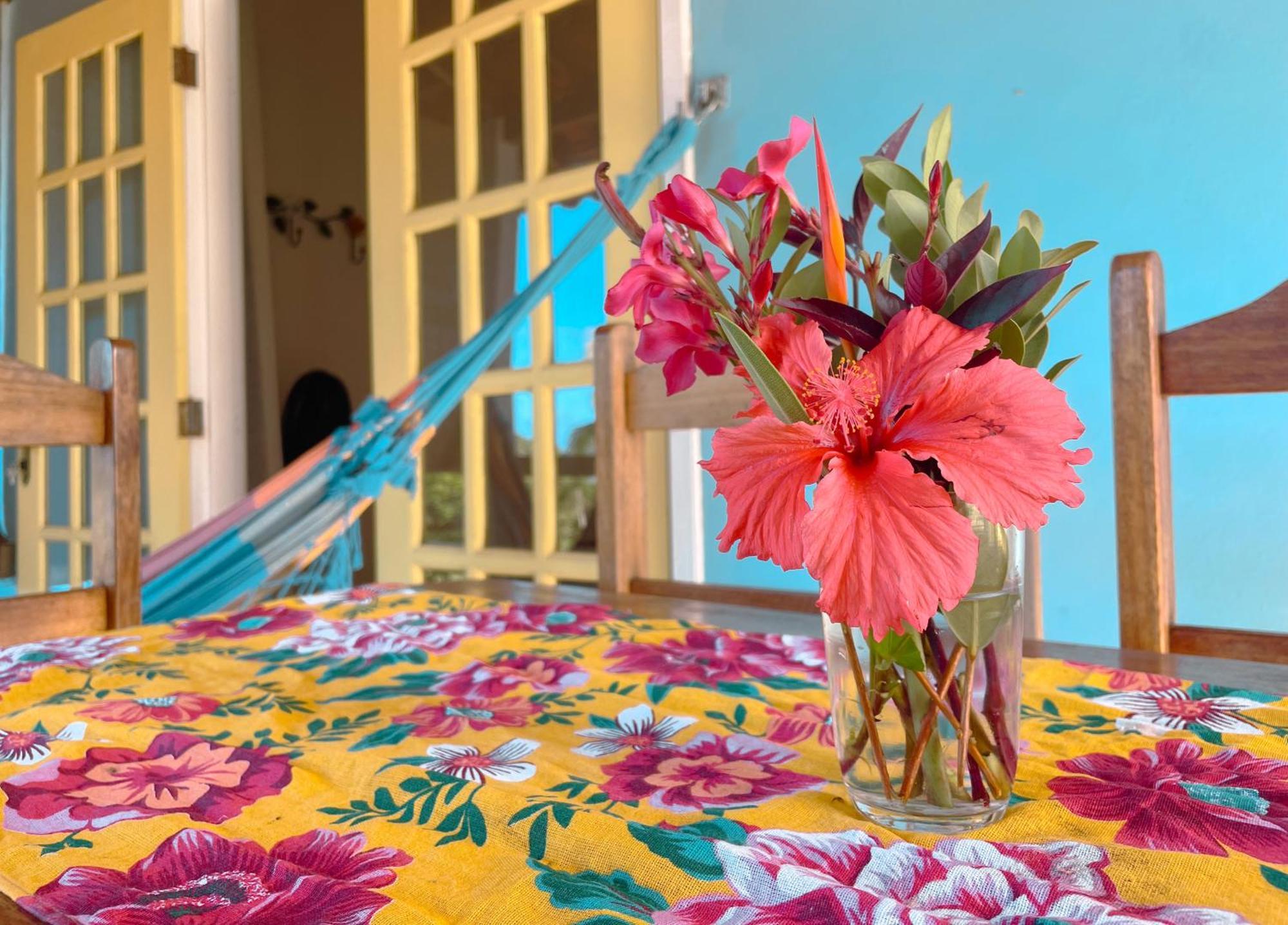 Canto Do Mar - Apartamentos E Casa Com Vista Pro Mar - クムルサティバ エクステリア 写真